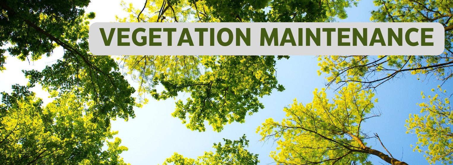 Vegetation Maintenance Cover Photo