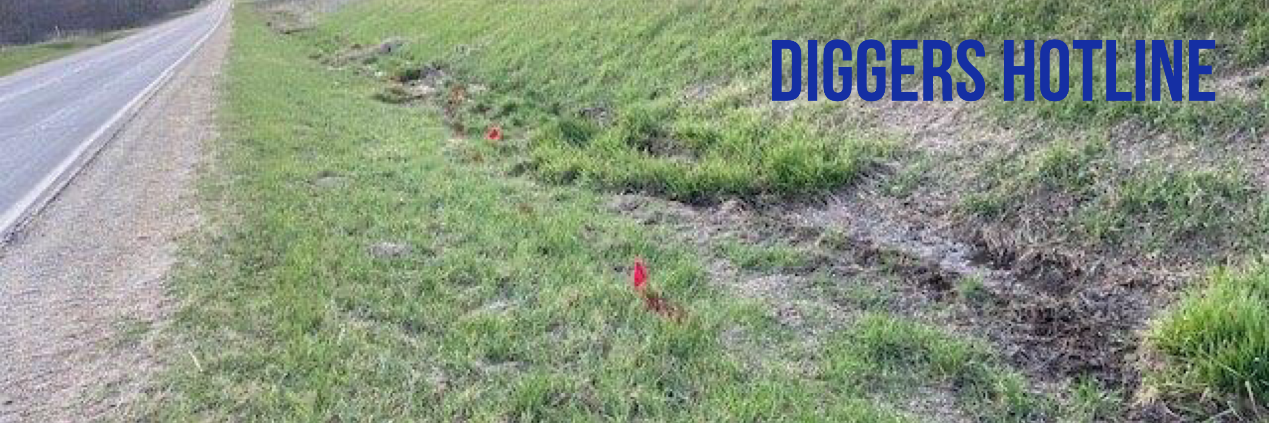 Diggers Web Banner.png