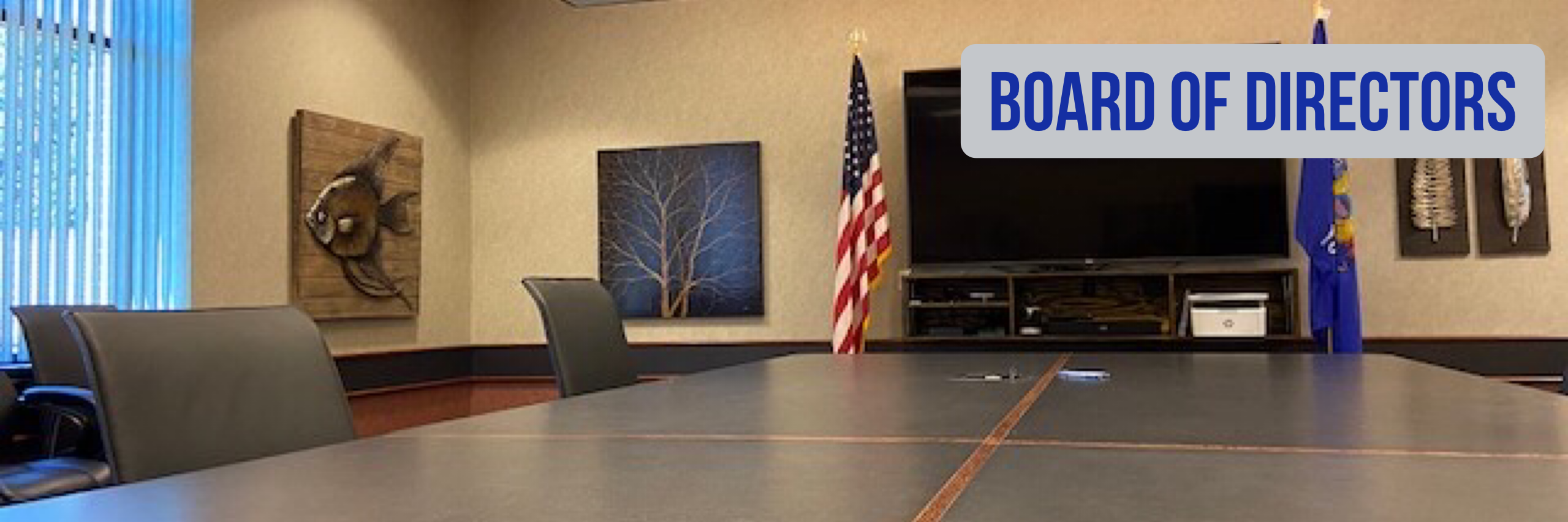 Board Banner Photo.PNG